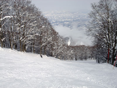 DSC00587.jpg 400300 36K